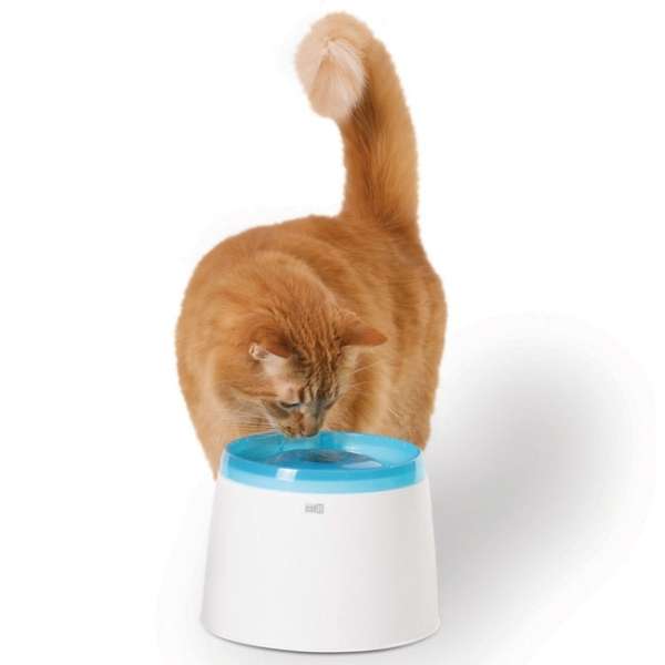 CATIT Fresh+Clear Trinkbrunnen 2 L – leiser Wasserspender für Katzen