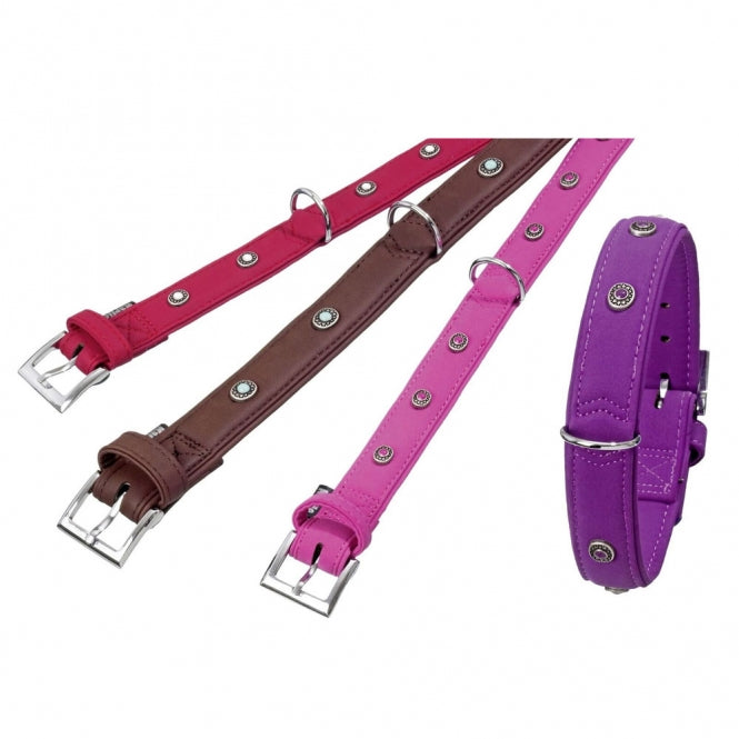 Karlie Art Buffalo Deco Halsband – dekoratives Lederhalsband für Hunde